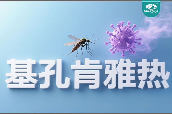 基孔肯雅熱疫情升級！新芝生物硬核技術(shù)助力病毒精準(zhǔn)診斷