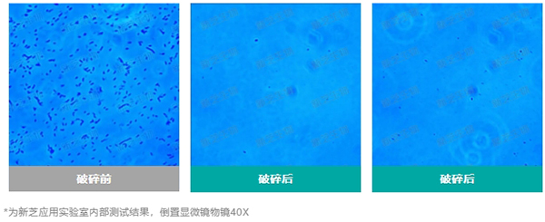 實(shí)驗結(jié)果