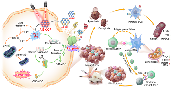實(shí)驗(yàn)數(shù)據(jù)